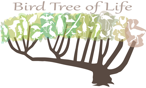 Bird Tree of Life, Tree with stylized white birds amongst the leaves.